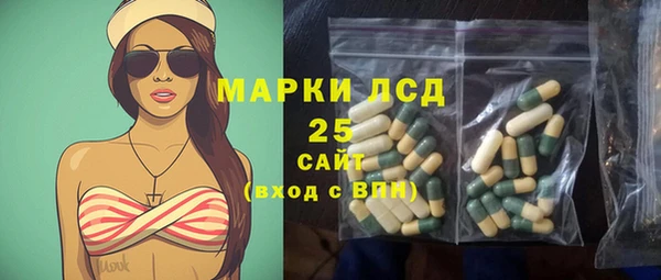 сатива Иннополис
