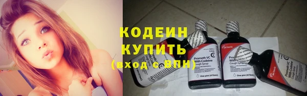 дурь Инсар