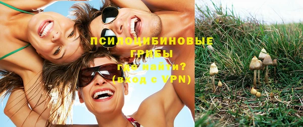 прущая мука Инта