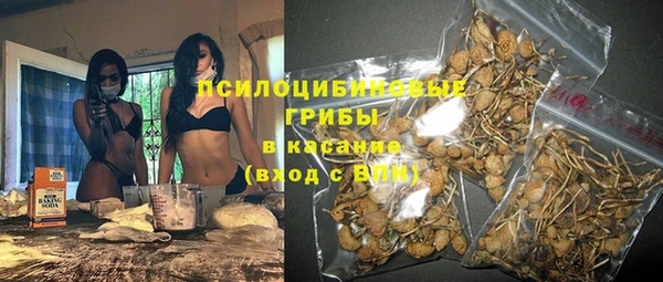 прущая мука Инта
