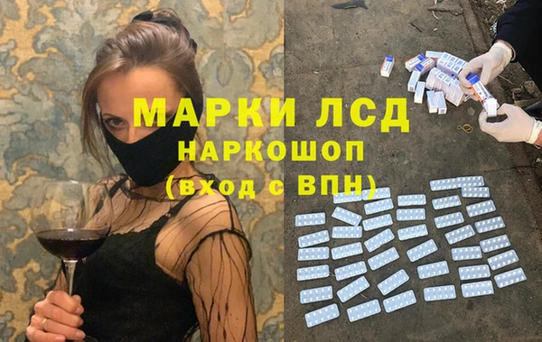 сатива Иннополис