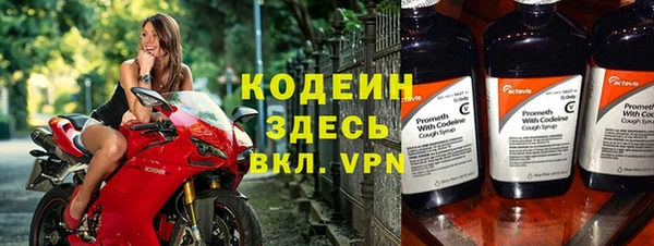 сатива Иннополис