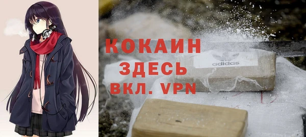 дурь Инсар