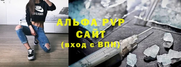 сатива Иннополис
